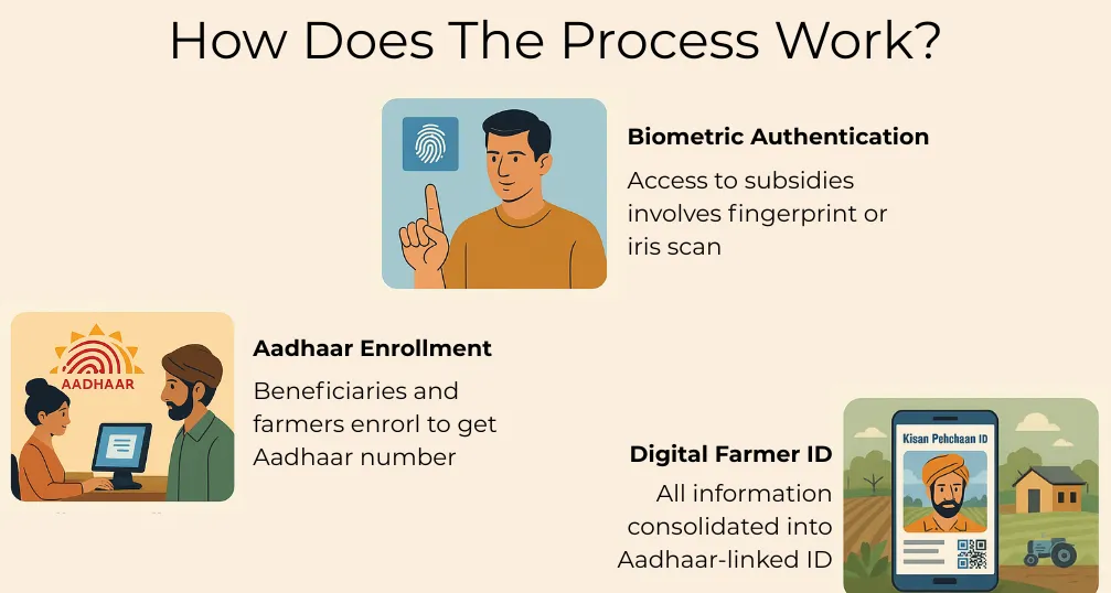 process of subsidy